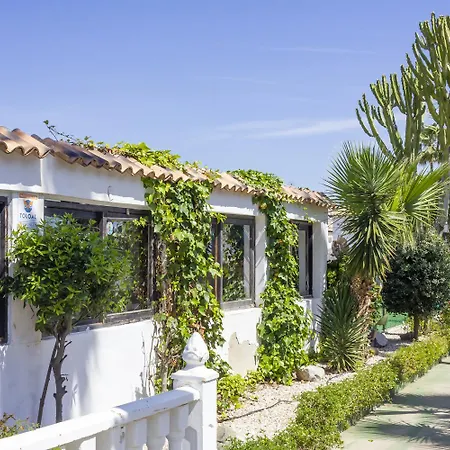 Apartamento Pink Palm