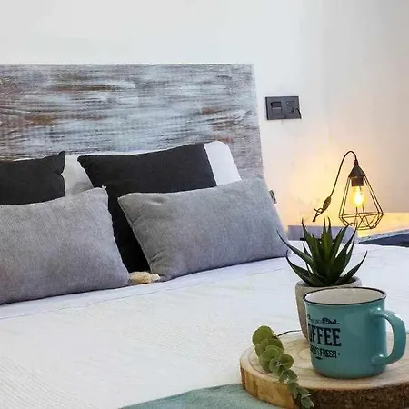 Pink Palm * Торевьиа